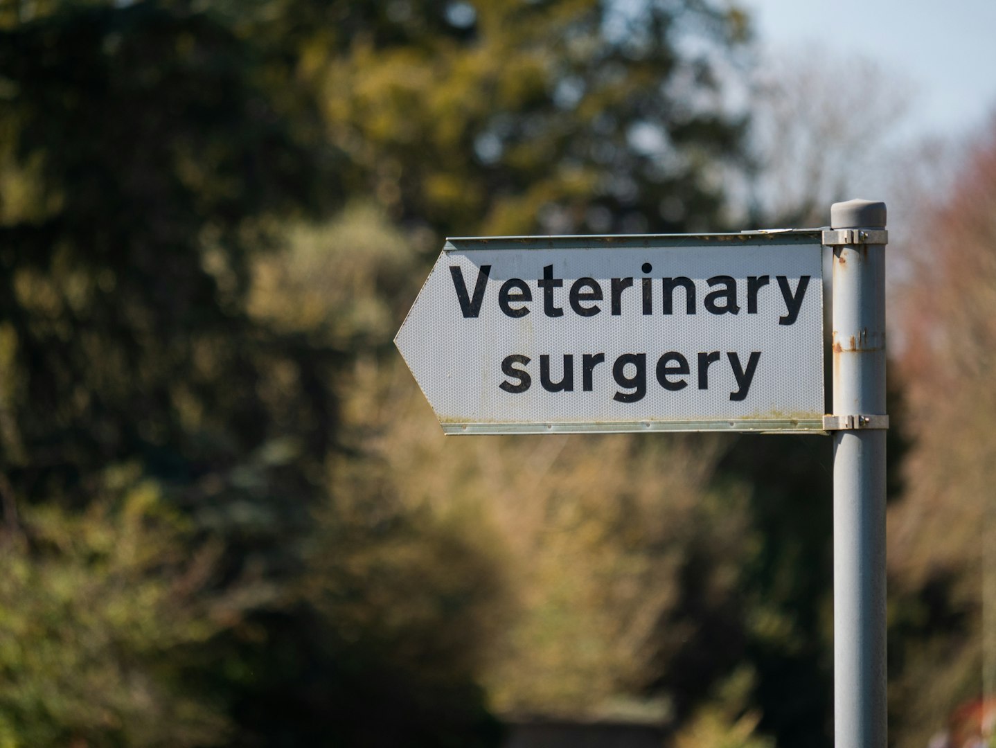 Apa ER VETERINÄR Erik Ehnvall