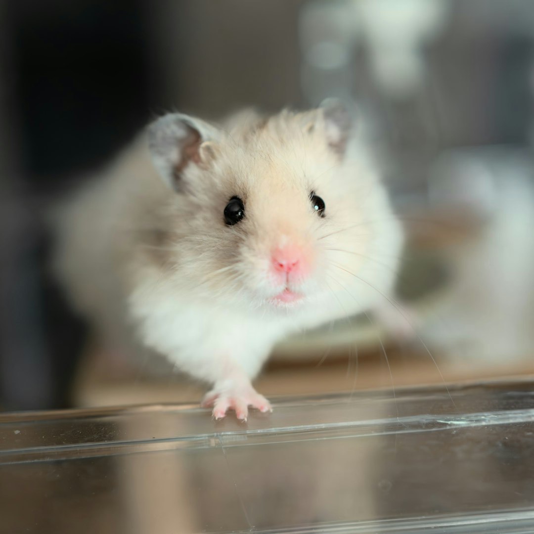 ER VETERINÄR Erik Ehnvall